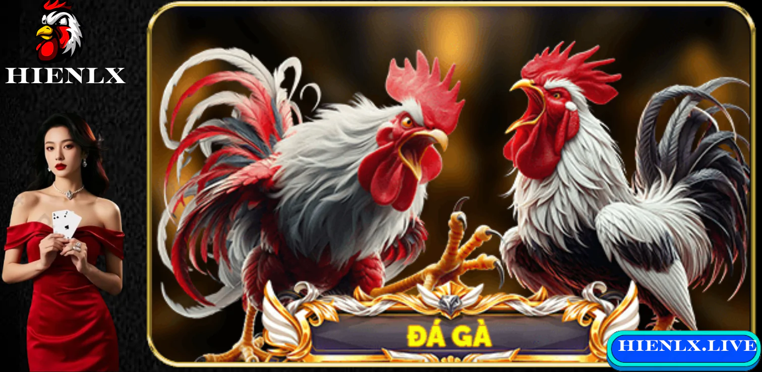 Đá Gà SV388 - Nhà Cái Uy Tín Cho Người Chơi Chuyên Nghiệp