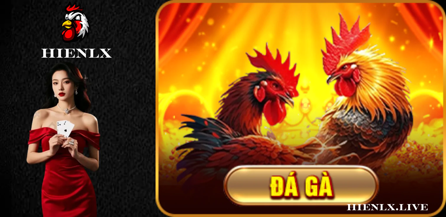 Hướng dẫn đăng ký tài khoản đá gà SV388