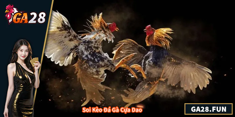 Soi Kèo Đá Gà Cựa Dao - Kinh Nghiệm Và Chiến Lược Tối Ưu