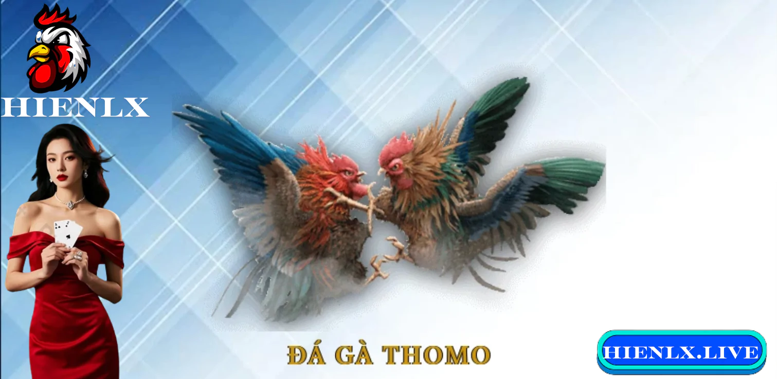 Hướng dẫn đăng ký và bắt đầu chơi tại HIENLX