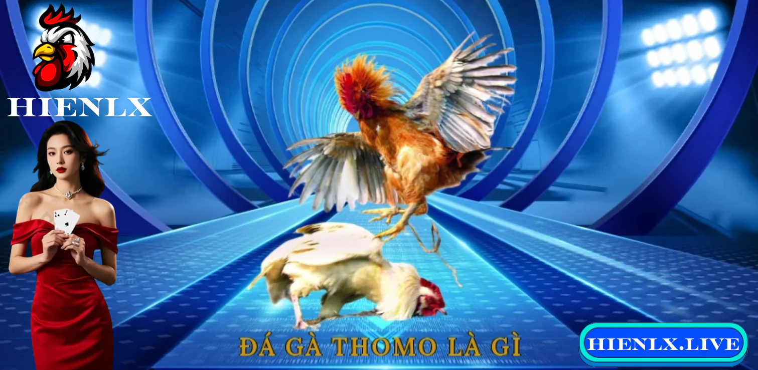 Các trường gà cpc3 -cpc4 cpc5 -cpc6 - tonhon  và thể loại trận đấu nổi bật tại HIENLX