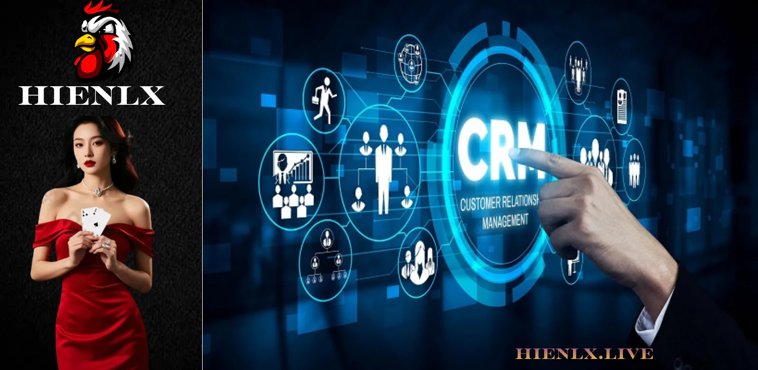 Liên Hệ HIENLX – Hướng Dẫn Nhanh Chóng Và Hỗ Trợ Tận Tâm